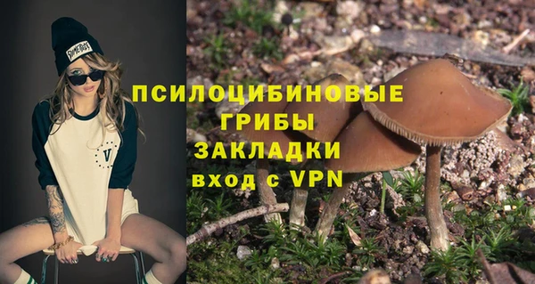 круглые Абаза