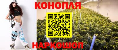 spice Братск
