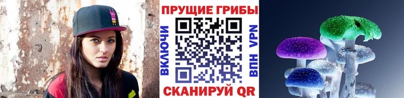 Псилоцибиновые грибы мухоморы Заринск