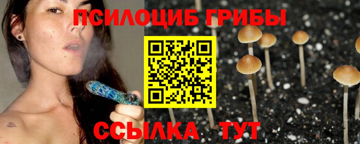 Галлюциногенные грибы прущие грибы Заринск
